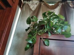 -裕和堂中医推拿艾灸(太古汇臻品店)