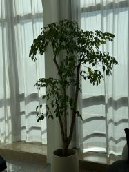 -JNK皮肤管理中心