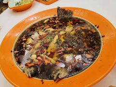 -向外鱼乐·土菜·虹鳟鱼