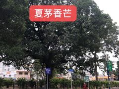 -丰圆轩粤式茶楼 . 点心粤菜(夏茅店)