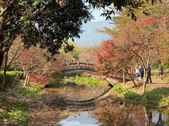 -田野绿世界