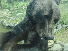 -北京野生动物园