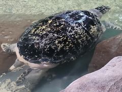 -南昌海洋公园