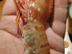 牡丹虾刺身-蟹将军·松叶蟹和牛日料放题自助(K11店)