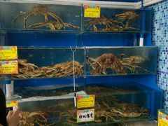 -蚝专家(北滘店)