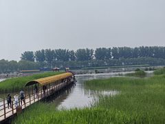 -白洋淀景区