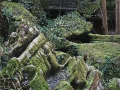 -梭布垭石林景区