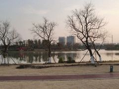 -九科绿洲