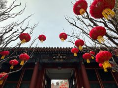 -颐和园