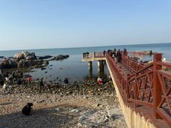 -养马岛旅游度假区