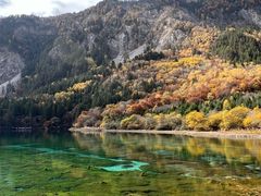 -九寨沟-树正沟