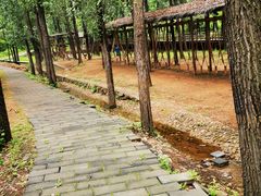 -蟠龙山长城景区