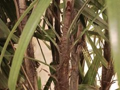 -秀儿家の小确幸花园西餐厅