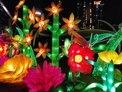 -锦江乐园舞狸花花游园会(夜场专享)