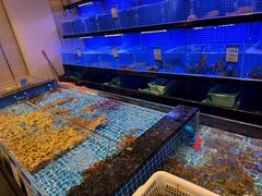 -一麦·龙岛(上海青浦店)