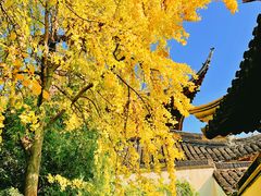 -西园戒幢律寺