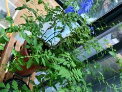 -梧桐栖·养生·spa