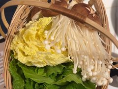 -同仁四季椰子鸡(福田东园总店)