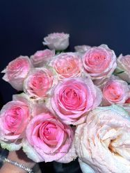 点击看大图 -OCEAN DANCE高空舞蹈室