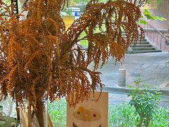 -Kekimatata 生日蛋糕·烘焙教学