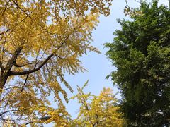 -四川大学(望江校区)