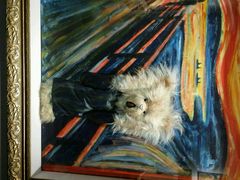 -成都泰迪熊博物馆