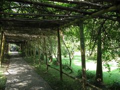 -莫里热带雨林景区