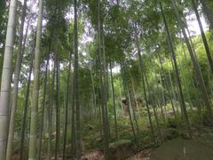 -众神白水涧景区