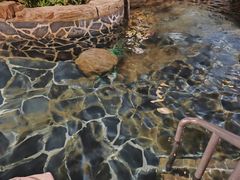 -泉城欧乐堡戏水湾艺术养生温泉