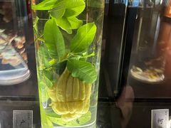 -广东中医药博物馆