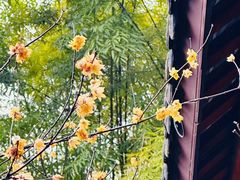 -成都杜甫草堂博物馆