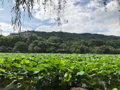 -杭州西湖风景名胜区-钱塘苏小小之墓