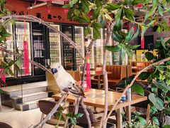 -奉天宴遇烧烤·冒锅