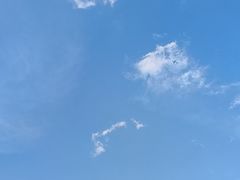 -上海交通大学(闵行校区)