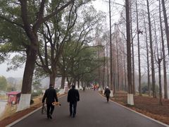 -食膳公园包子铺(烈士公园店)