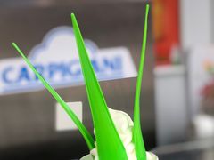 -Salud撒露欧洲冻酸奶(蓝色港湾店)