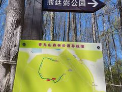 -青龙山国家森林公园