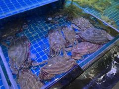 -渔民船说·北塘海鲜·天津菜·海肠捞饭(北塘古镇店)