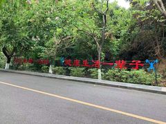 -水濂山森林公园