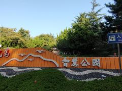 -燕儿岛山公园
