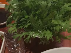 -揽季锅物会.福建黄鱼.海鲜姿造(五四路店)