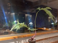 -宴武夷·匠心闽味(印象大红袍店)