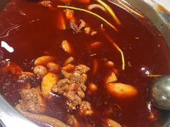 -冯记香辣兔火锅(茶店子总店)