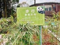 -中国大熊猫保护研究中心雅安碧峰峡基地