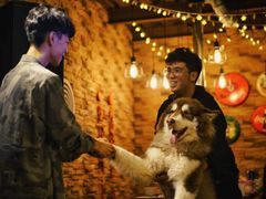 -玩坞轰趴馆·户外团建聚会主题生日派对馆(世豪广场店)