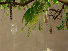 -二酉书店TOYOU BOOKS