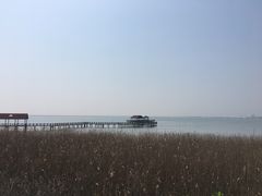 -碧海金沙