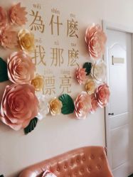 -Lab Season惜辰颜究社