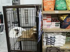 -四月宠物医院·猫专科·心脏专科·内科(转塘店)