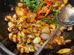 -港升鱼师傅·中山脆肉鲩